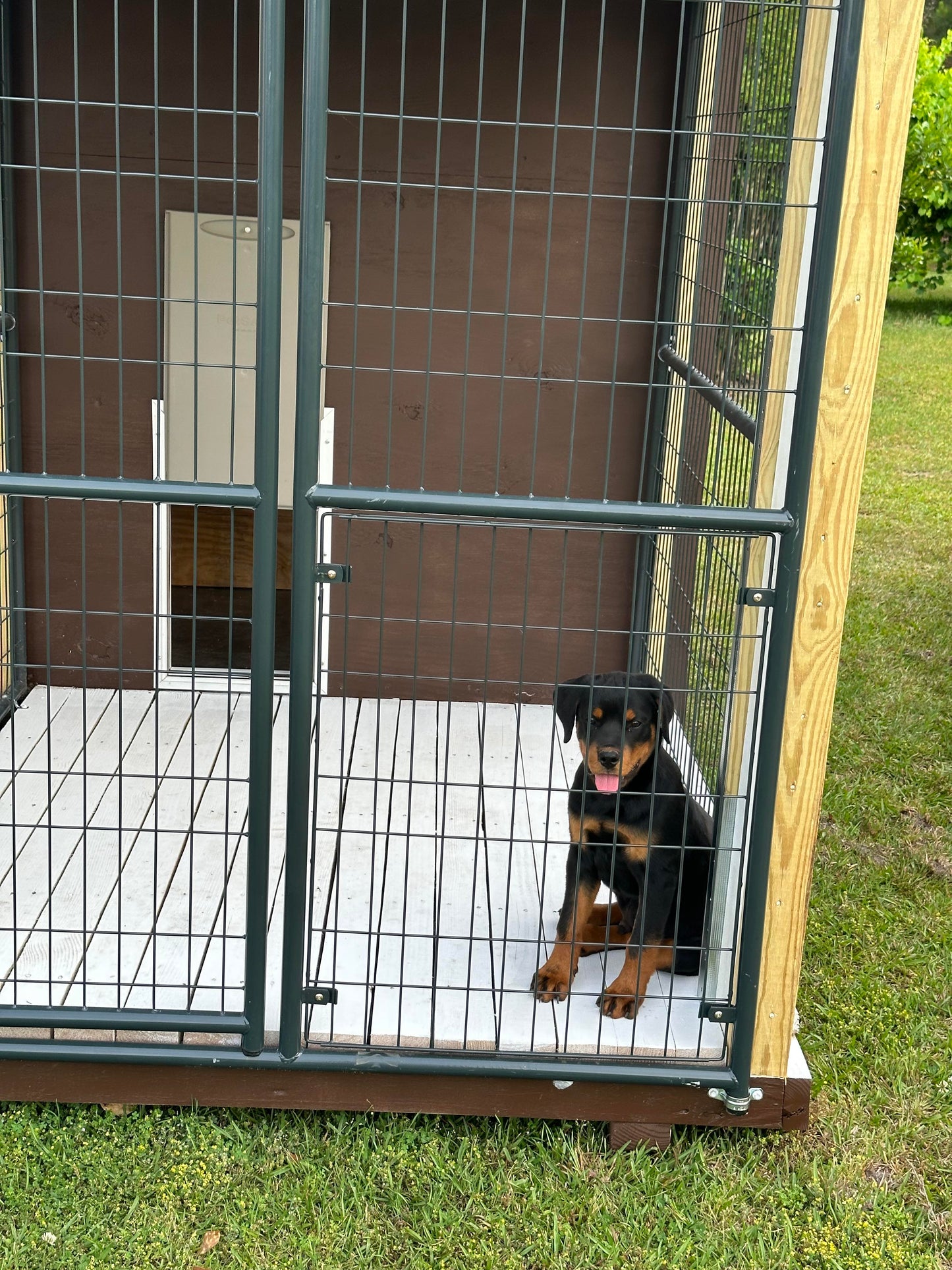 6x10 dog kennel